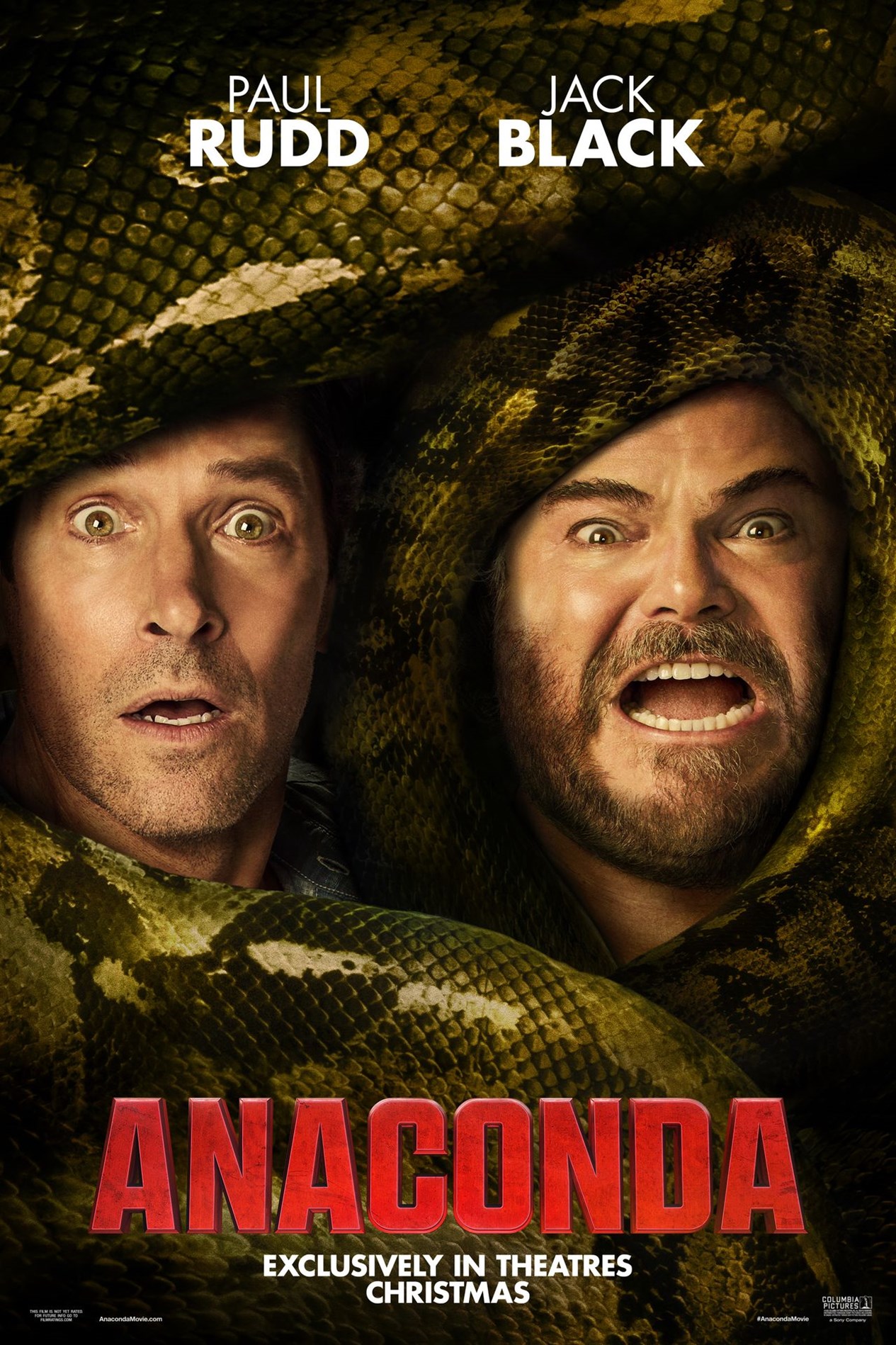 Anaconda